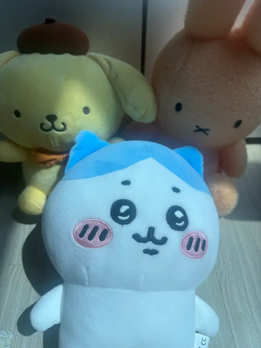 thumbnail-1